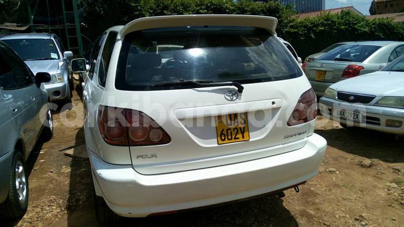 Big with watermark 17523240 446906552317802 3020784409794938775 n