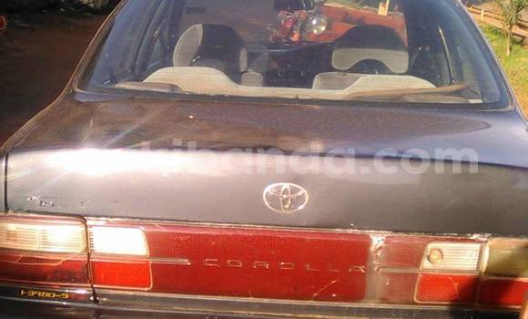 Buy Used Toyota Corolla Other Car in Kampala in Uganda Buy Used Toyota Corolla Other Car in Kampala in Uganda