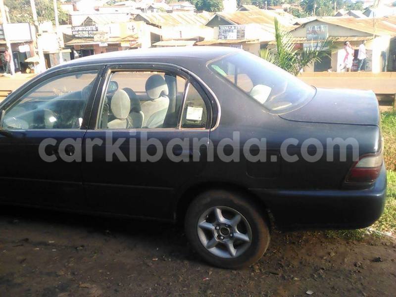 Big with watermark 17362468 1477189875689466 5699783990963171139 n