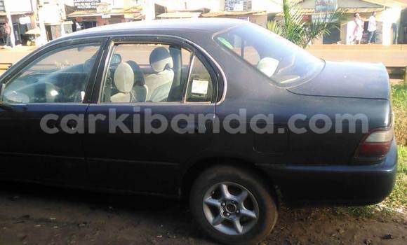 Buy Used Toyota Corolla Other Car in Kampala in Uganda Buy Used Toyota Corolla Other Car in Kampala in Uganda