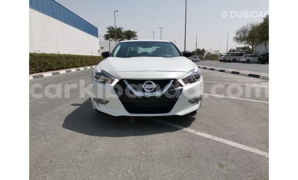 Buy Import Nissan Maxima White Car in Import - Dubai in Uganda Buy Import Nissan Maxima White Car in Import - Dubai in Uganda