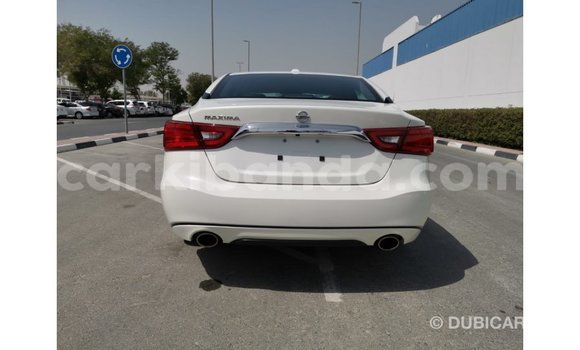 Buy Import Nissan Maxima White Car in Import - Dubai in Uganda Buy Import Nissan Maxima White Car in Import - Dubai in Uganda