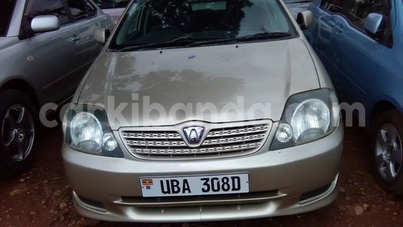 Big with watermark 17362468 1477189875689466 5699783990963171139 n