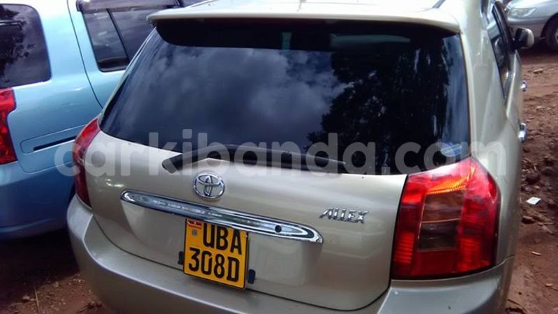 Big with watermark 17342716 136784040180539 8536093246308183350 n