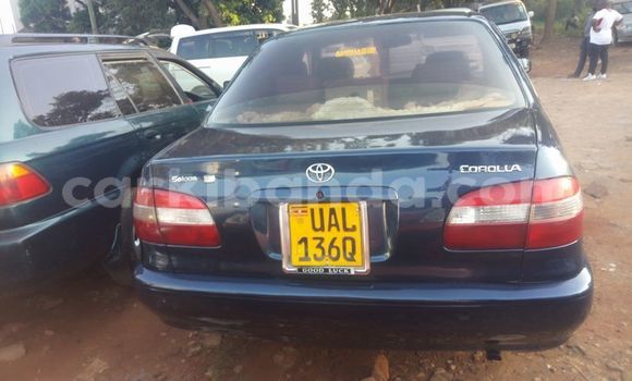 Acheter Occasion Voiture Toyota Corolla Bleu à Kampala, Ouganda Acheter Occasion Voiture Toyota Corolla Bleu à Kampala, Ouganda