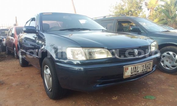 Acheter Occasion Voiture Toyota Corolla Bleu à Kampala, Ouganda Acheter Occasion Voiture Toyota Corolla Bleu à Kampala, Ouganda