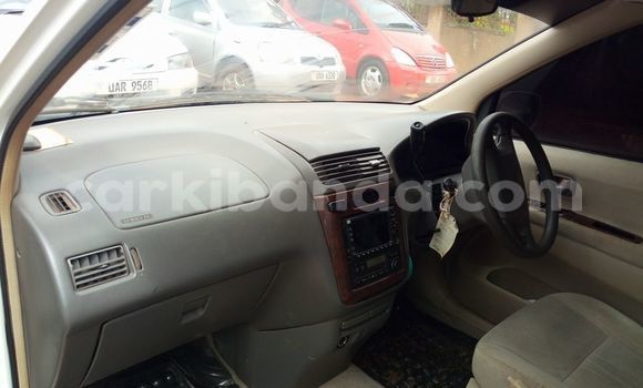 Nunua Ilio tumika Toyota Gaia Nyeupe Gari ndani ya Kampala nchini Uganda Nunua Ilio tumika Toyota Gaia Nyeupe Gari ndani ya Kampala nchini Uganda