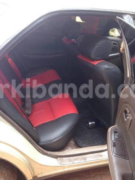 Big with watermark 17523240 446906552317802 3020784409794938775 n