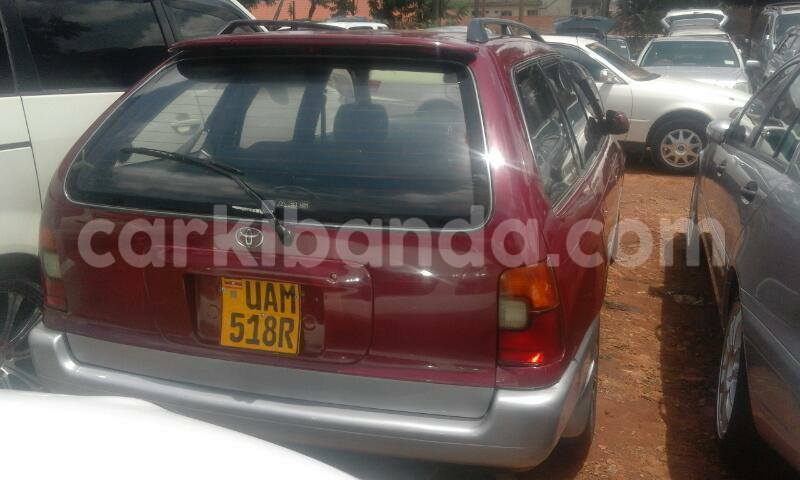 Big with watermark 17523240 446906552317802 3020784409794938775 n