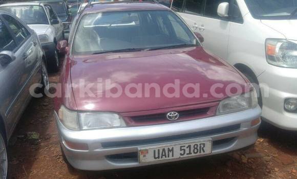 Buy Used Toyota Corolla Red Car in Kampala in Uganda Buy Used Toyota Corolla Red Car in Kampala in Uganda