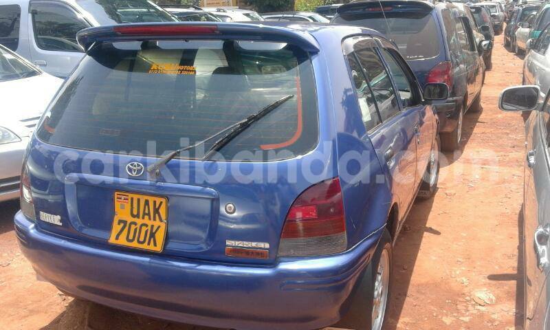 Big with watermark 17523240 446906552317802 3020784409794938775 n