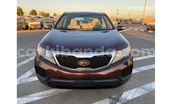 Buy Import Kia Sorento Brown Car in Import - Dubai in Uganda Buy Import Kia Sorento Brown Car in Import - Dubai in Uganda