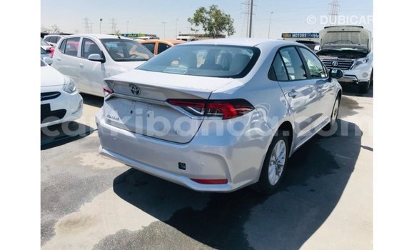 Buy Import Toyota Corolla White Car in Import - Dubai in Uganda Buy Import Toyota Corolla White Car in Import - Dubai in Uganda