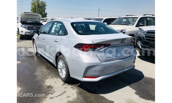 Buy Import Toyota Corolla White Car in Import - Dubai in Uganda Buy Import Toyota Corolla White Car in Import - Dubai in Uganda