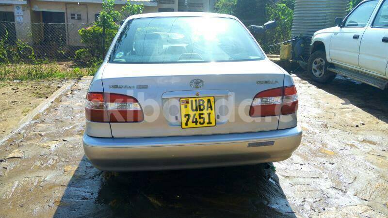 Big with watermark 17862713 986449908153278 5443398470314479661 n