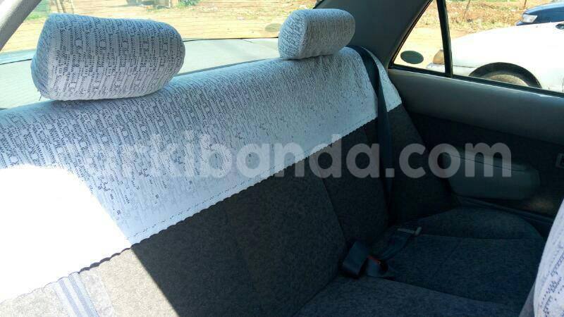 Big with watermark 17883799 986449961486606 5899850420248594718 n