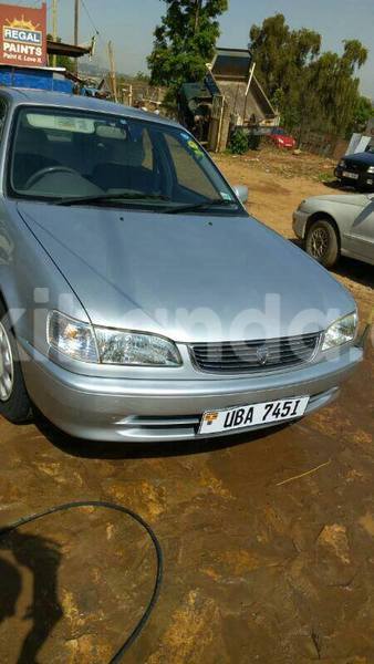 Big with watermark 17883859 986449878153281 2048286469265763800 n