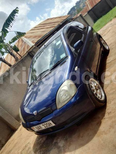 Big with watermark 17862713 986449908153278 5443398470314479661 n