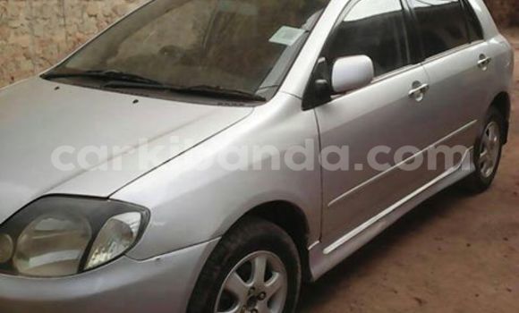 Nunua Ilio tumika Toyota Allex Fedha Gari ndani ya Kampala nchini Uganda Nunua Ilio tumika Toyota Allex Fedha Gari ndani ya Kampala nchini Uganda