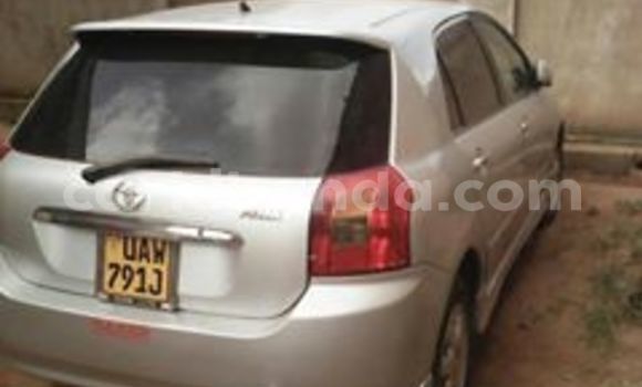 Nunua Ilio tumika Toyota Allex Fedha Gari ndani ya Kampala nchini Uganda Nunua Ilio tumika Toyota Allex Fedha Gari ndani ya Kampala nchini Uganda