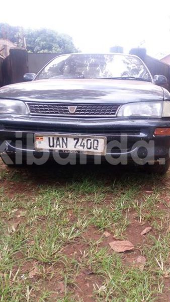 Big with watermark 17795701 10206966928850318 4670280897170890025 n