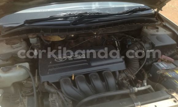 Buy Used Toyota Premio Beige Car in Kampala in Uganda Buy Used Toyota Premio Beige Car in Kampala in Uganda