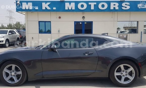 Nunua Imported Chevrolet Camaro Nyingine Gari ndani ya Import - Dubai nchini Uganda Nunua Imported Chevrolet Camaro Nyingine Gari ndani ya Import - Dubai nchini Uganda