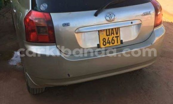 Buy Used Toyota Allex Silver Car in Kampala in Uganda Buy Used Toyota Allex Silver Car in Kampala in Uganda