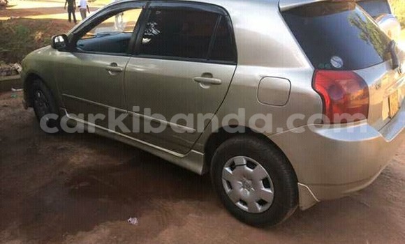 Buy Used Toyota Allex Silver Car in Kampala in Uganda Buy Used Toyota Allex Silver Car in Kampala in Uganda