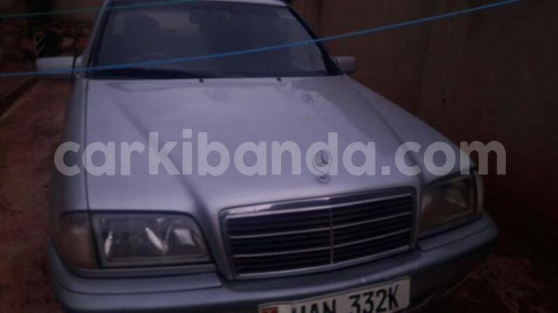 Big with watermark 17795701 10206966928850318 4670280897170890025 n