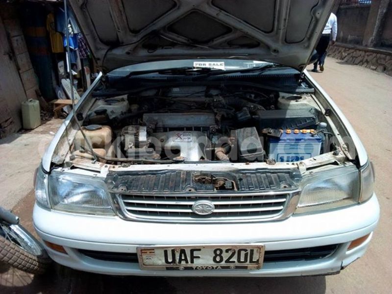 Big with watermark 17796439 1315154081906354 3590367499681648485 n