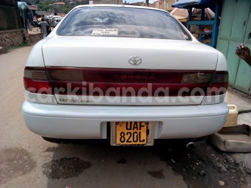 Big with watermark 17796789 902716609870218 4521974656185205947 n