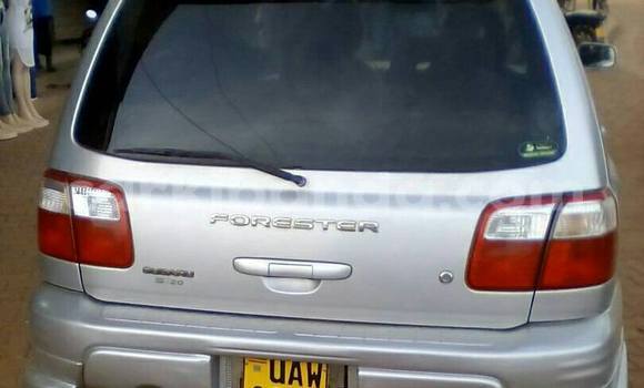 Gura Yakoze Subaru Forester Silver Imodoka i Kampala mu Uganda Gura Yakoze Subaru Forester Silver Imodoka i Kampala mu Uganda
