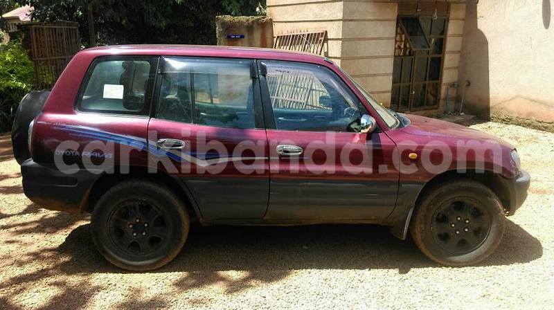 Big with watermark 17795701 10206966928850318 4670280897170890025 n