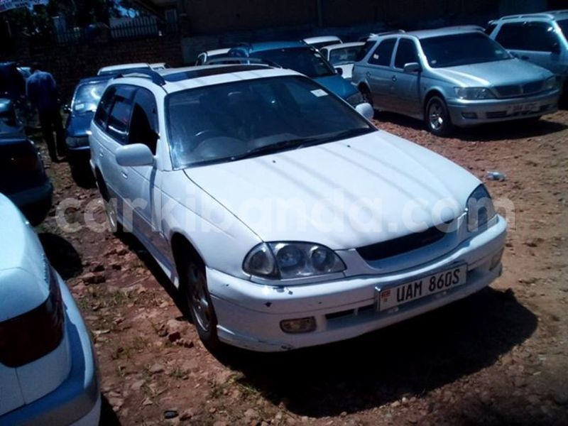 Big with watermark 17523240 446906552317802 3020784409794938775 n