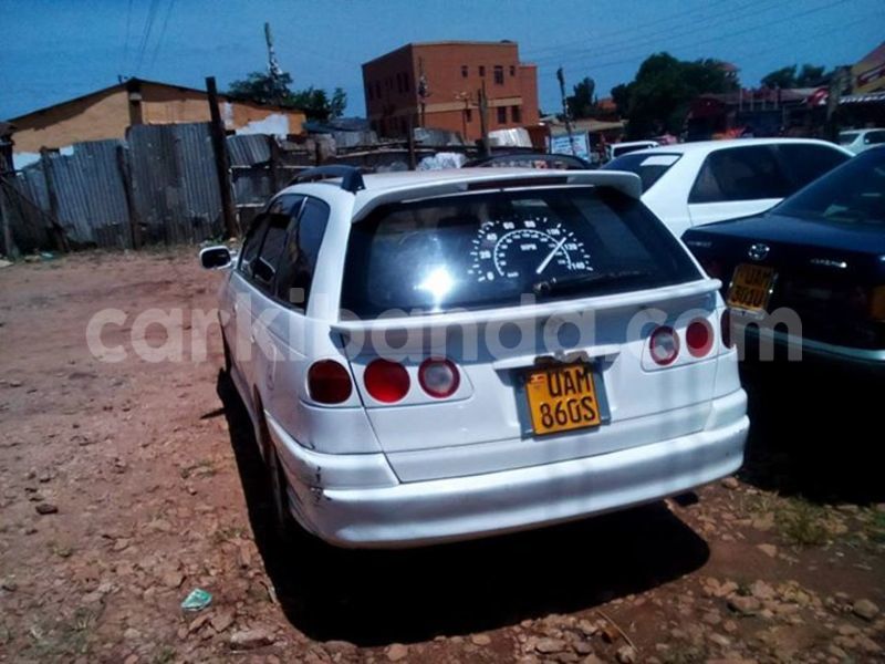 Big with watermark 17795701 10206966928850318 4670280897170890025 n