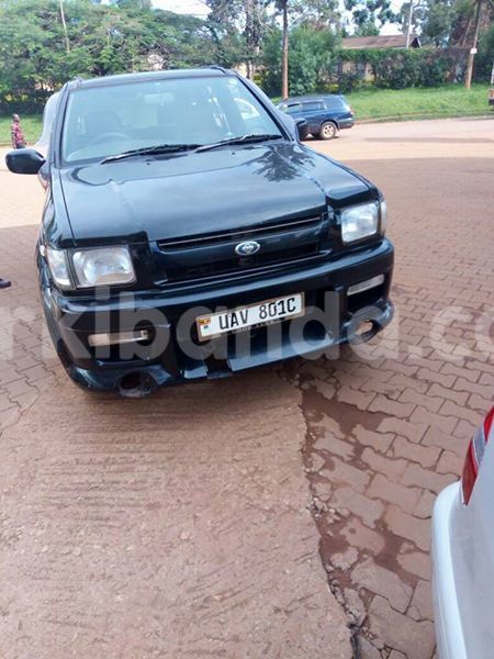 Big with watermark 17523240 446906552317802 3020784409794938775 n