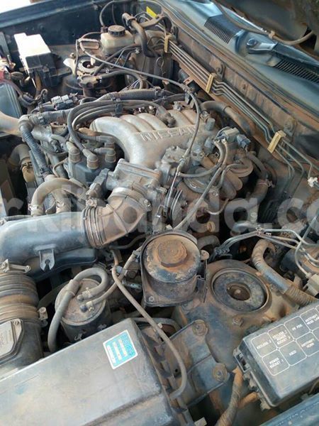 Big with watermark 17795701 10206966928850318 4670280897170890025 n