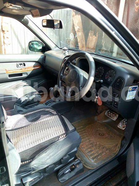 Big with watermark 17796789 902716609870218 4521974656185205947 n