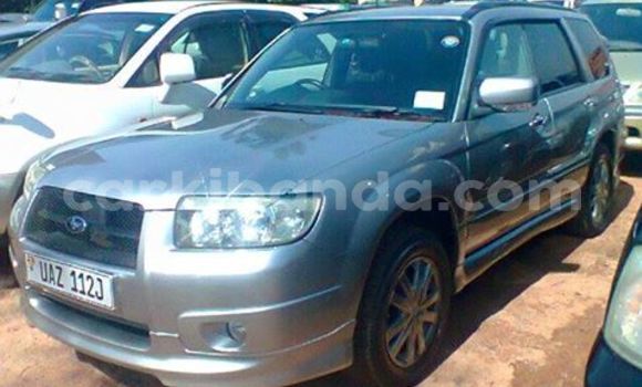 Buy Used Subaru Forester Silver Car in Kampala in Uganda Buy Used Subaru Forester Silver Car in Kampala in Uganda