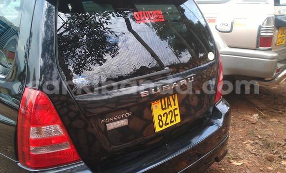 Acheter Occasion Voiture Subaru Outback Noir à Arua, Ouganda Acheter Occasion Voiture Subaru Outback Noir à Arua, Ouganda