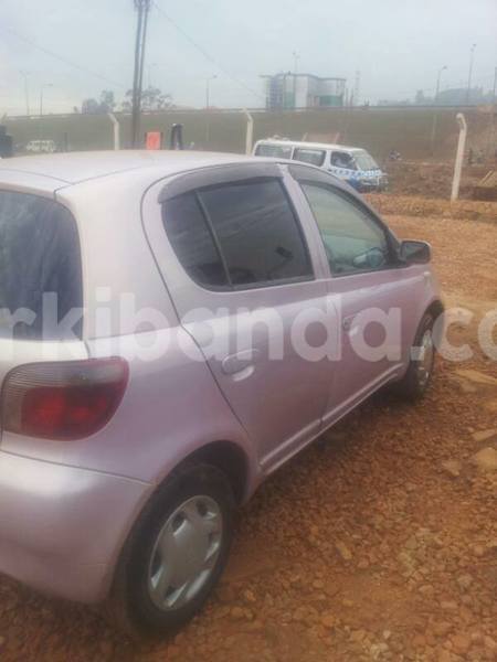 Big with watermark 17523240 446906552317802 3020784409794938775 n