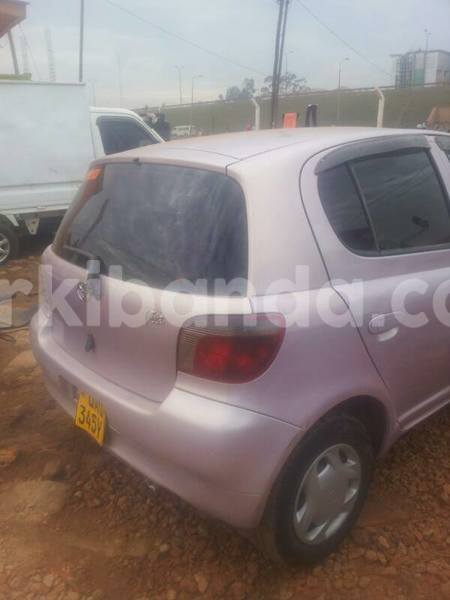 Big with watermark 17796789 902716609870218 4521974656185205947 n