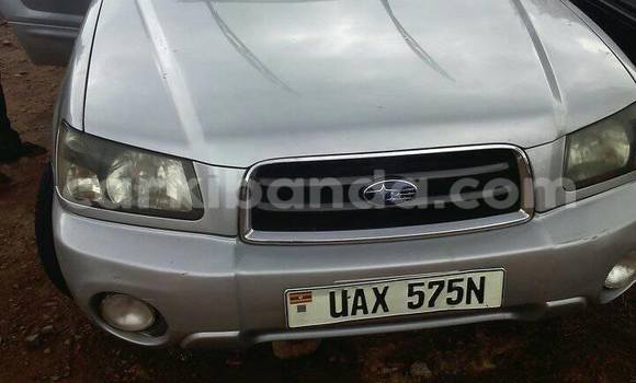 Acheter Occasion Voiture Subaru Forester Gris à Kampala, Ouganda Acheter Occasion Voiture Subaru Forester Gris à Kampala, Ouganda