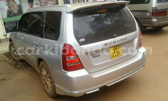 Buy Used Subaru Forester Silver Car in Kampala in Uganda Buy Used Subaru Forester Silver Car in Kampala in Uganda