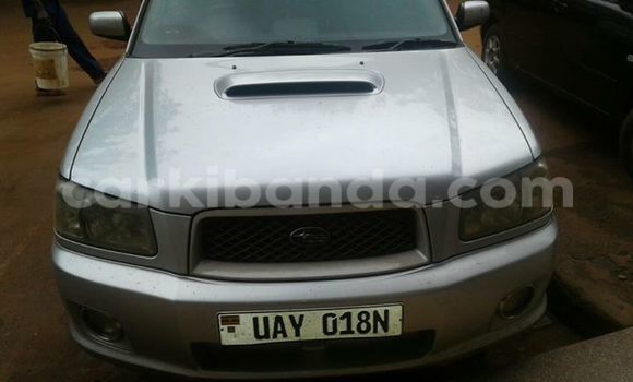 Buy Used Subaru Forester Silver Car in Kampala in Uganda Buy Used Subaru Forester Silver Car in Kampala in Uganda