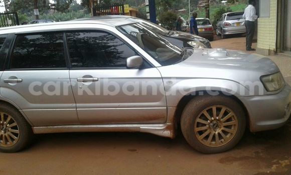 Buy Used Subaru Forester Silver Car in Kampala in Uganda Buy Used Subaru Forester Silver Car in Kampala in Uganda