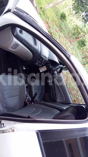 Big with watermark 18209031 441552849513730 6016981892996171860 o