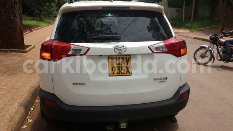 Big with watermark 18193361 441552852847063 996815405115009270 o