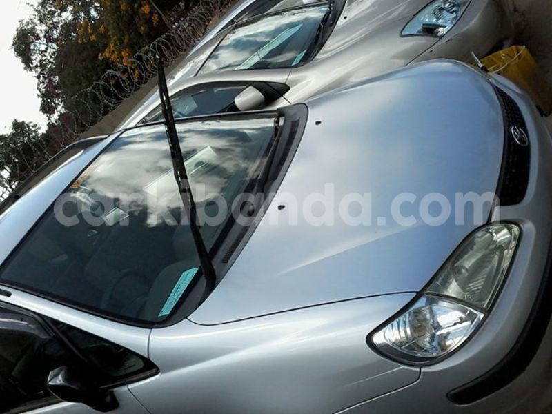 Big with watermark 18198775 441552836180398 1967558586203381998 n